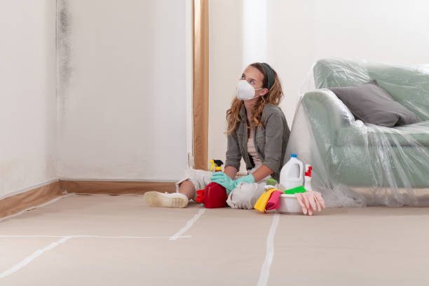 Reliable Mold Cleanup contractor in Saugus, MA by WQB Mold Removal